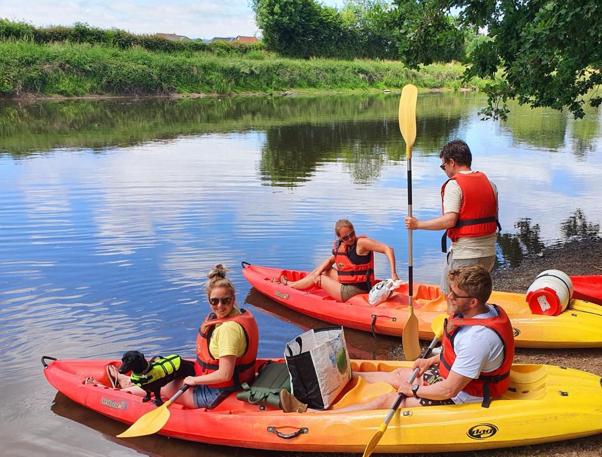 Camping Des 2 Rives- Mobilhomes Etang-sur-Arroux Eksteriør billede
